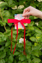 Load image into Gallery viewer, Satin Ribbon Long Bow Clip