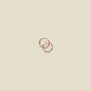 Mini Live in Hoop Earrings