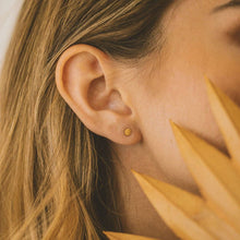 Load image into Gallery viewer, Lux Stud Earrings