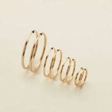 Load image into Gallery viewer, Live In Hoop Earrings