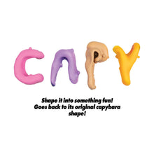 Load image into Gallery viewer, CAPYBARA TOY