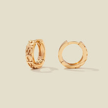 Load image into Gallery viewer, Pisces Huggie Hoop Earrings