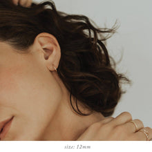 Load image into Gallery viewer, Live In Hoop Earrings