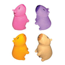 Load image into Gallery viewer, CAPYBARA TOY