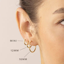Load image into Gallery viewer, Live In Hoop Earrings